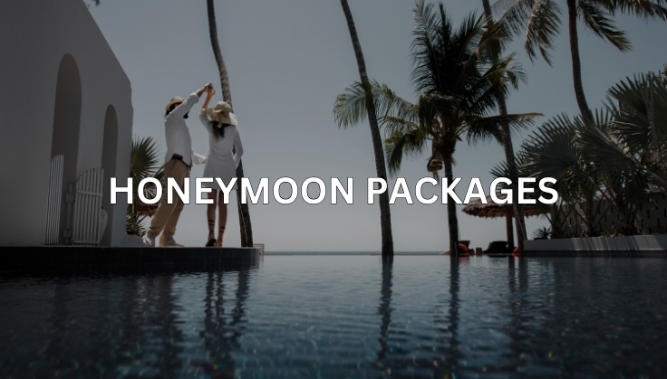 Discover the World with Curated Itineraries and Seamless Bookings.